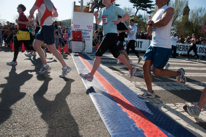 DS20090405_1118p.jpg