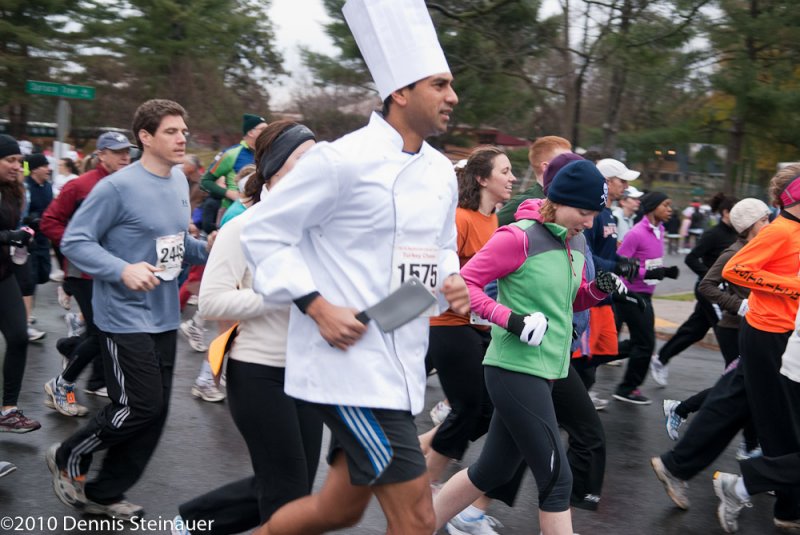 11/25/2010 - Whered that turkey go?<br><font size=3>ds20101125-0220  Turkey Chase w.jpg</font>