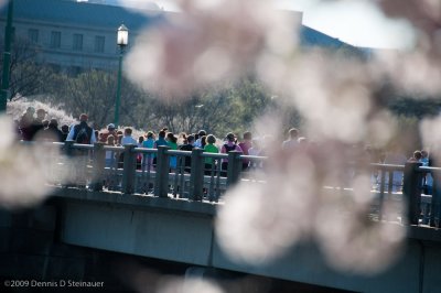 DS20090405_0868p.jpg