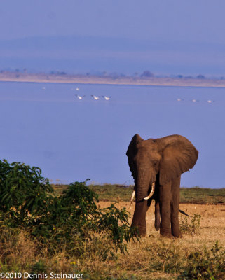 Tanzania (22 June - 11 July 2010)