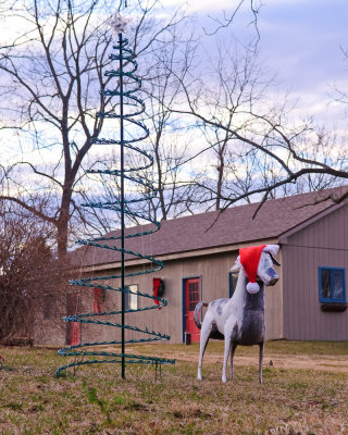 1-2-2011 Woofmands20110102-0039w.jpg