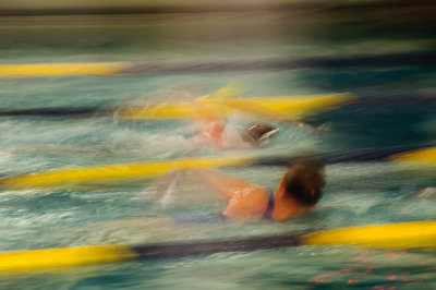 1-8-2011 - Swimmersds20110108-0339.jpg