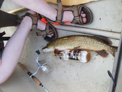DSCF6148.JPG
