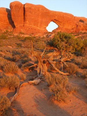 arches_007.jpg