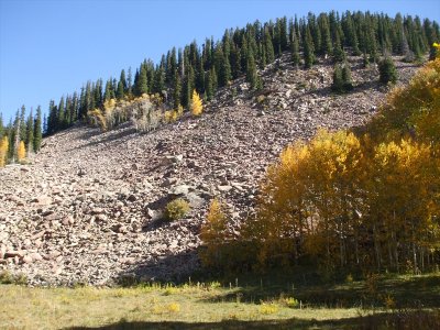 enchelada_013.jpg