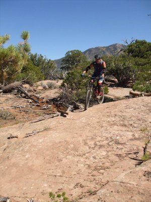 enchelada_057.jpg