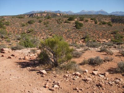 enchelada_069.jpg