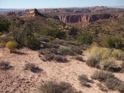 enchelada_070.jpg