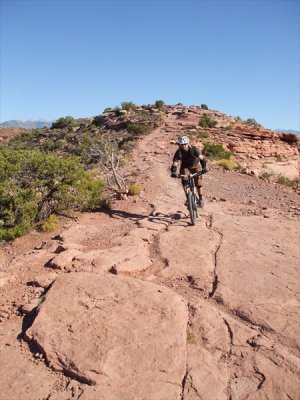 enchelada_072.jpg