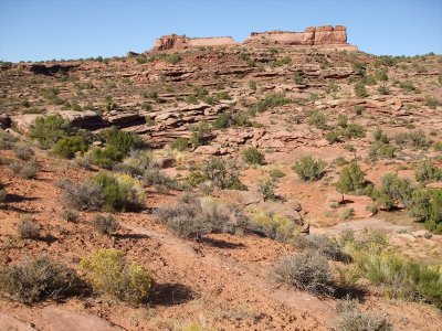 enchelada_075.jpg
