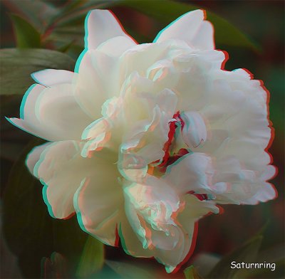 Anaglyph0005.jpg