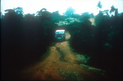 CP-330.jpg