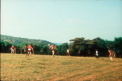 CP-336.jpg