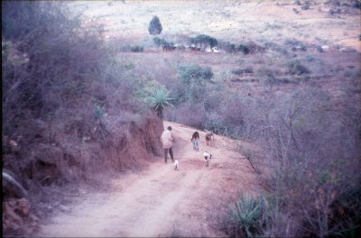 G002.jpg