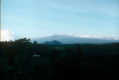 H85-004.jpg