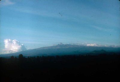 H85-006.jpg