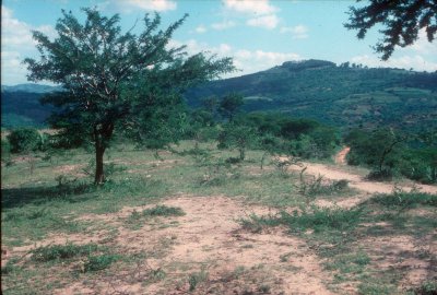 H85-007.jpg