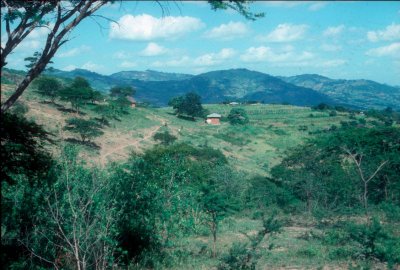H85-008.jpg