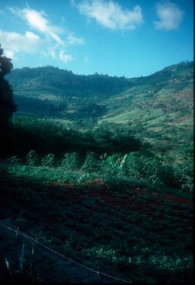 H85-013.jpg