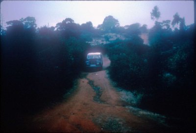 030.jpg