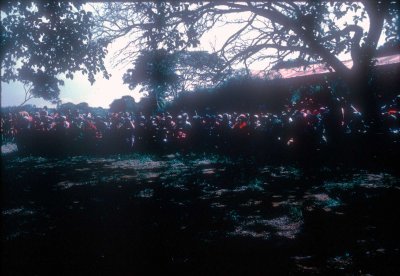 031.jpg