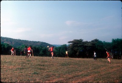036.jpg
