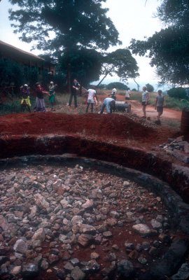 119.jpg