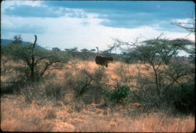 159.jpg