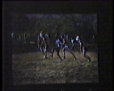 035.jpg
