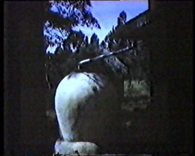 037.jpg