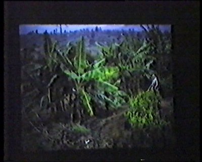 065.jpg