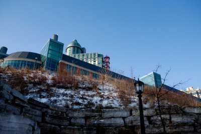 IMG_2672.jpg