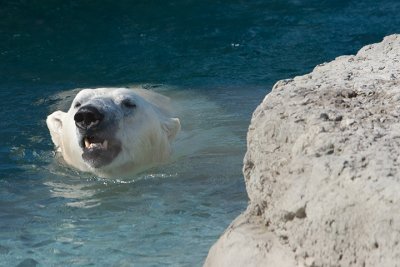 IMG_0968.jpg