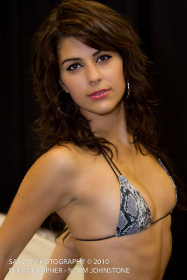 importfest-020.jpg