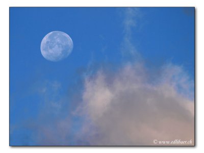 Mond am Morgenhimmel / Moon in the morning sky  (8928)