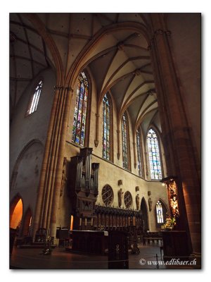 Cathedrale St. Martin (0437)