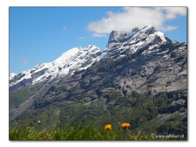 Titlis 3038m / Wendenstoecke 3042m (1818)