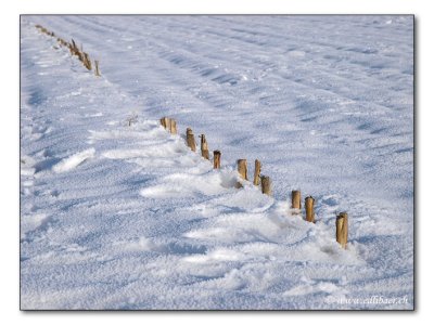 stubble field / winterliches Stoppelfeld