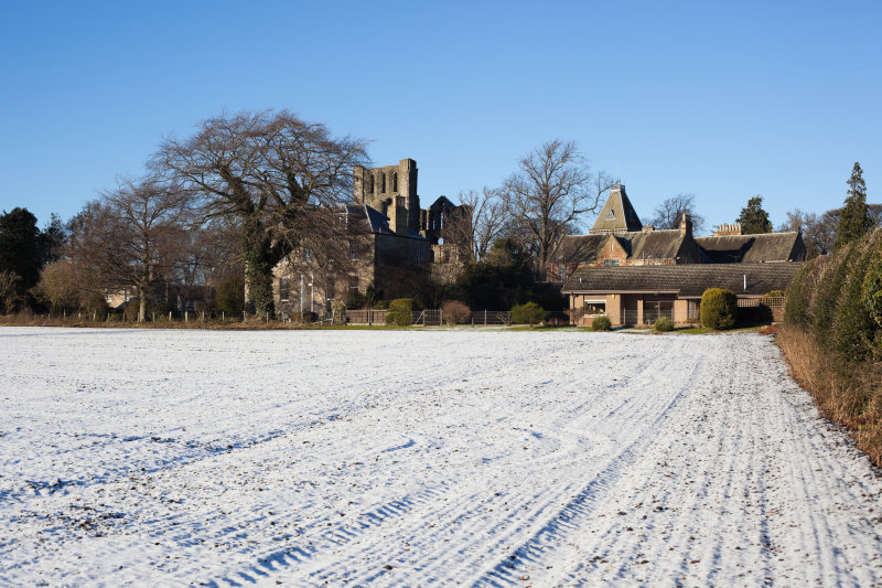 glebefieldsnowiso100-50mmf8.jpg