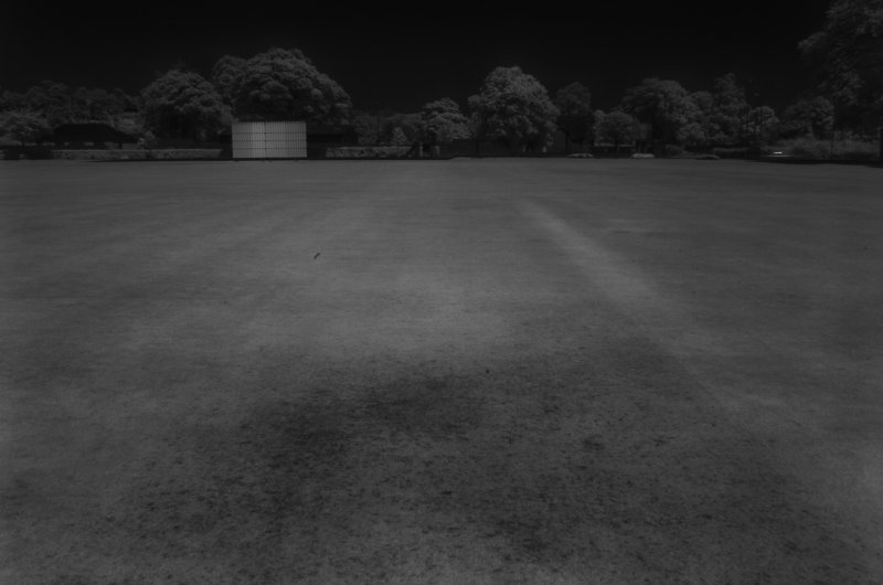 1secf16-showinggrassdamage.jpg