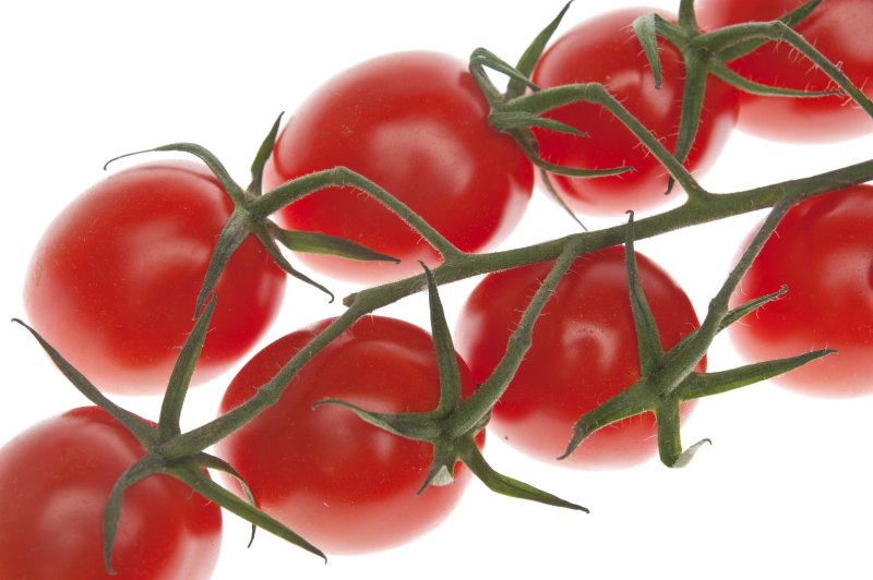 tomatoes-A350-CZ1680.jpg