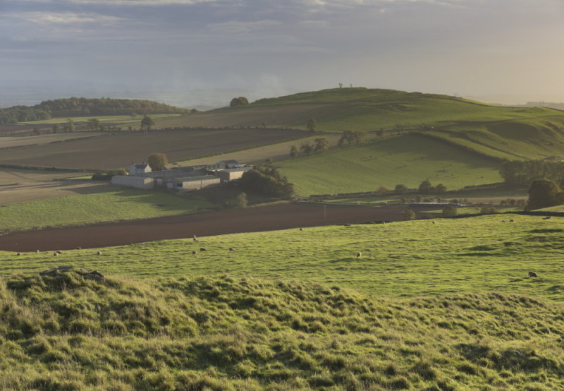 humelandscape1.JPG