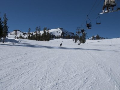 IMG_2960.jpg