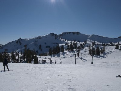 IMG_2967.jpg