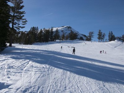 IMG_2981.jpg