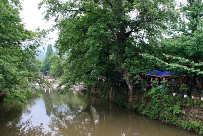 CRW_6533.JPG