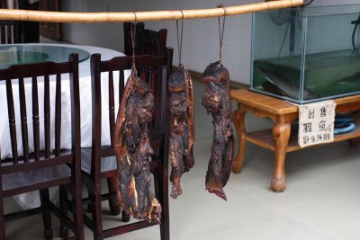 CRW_6598.JPG