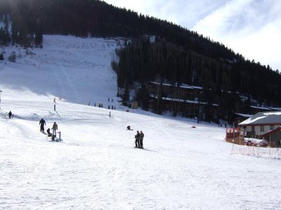 sm100_1786.JPG