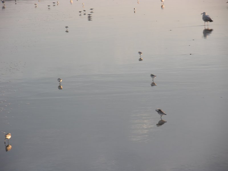 Ride to the Shore