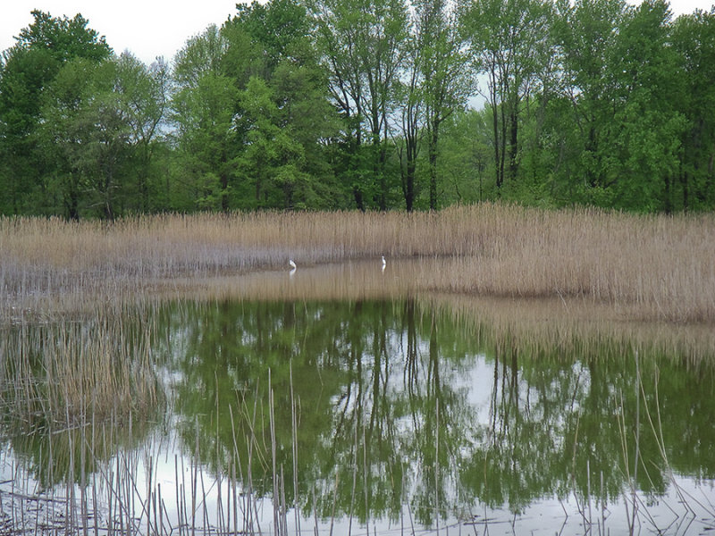 Leipsic - New Castle Ride (Delaware Rte. 9)